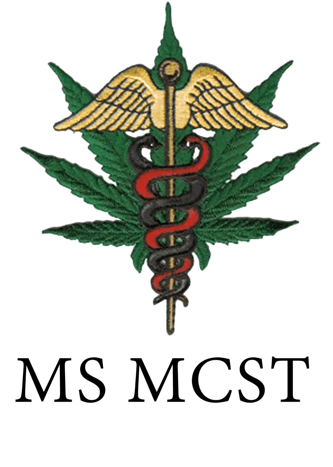 UNIVERSITY OF MARYLAND SCHOOL OF PHARMACY STOLE - Graduation Seller